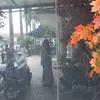 vietnamese.roots.14