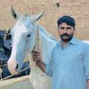 aashiqgujjar3586