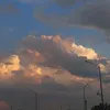 jannettelopez52