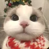 iambnyy