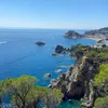 usuario_224488