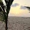 jmgumbre11