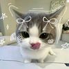 cyylalaa