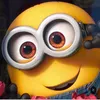 emad.mhsin