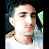 wael8331