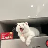 mitpiano