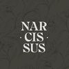 narcissus_no