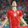 w_lfc_supporter