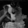 pbwmi_04