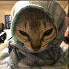 hana_gamer_39