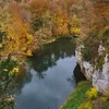 alexandraszardien