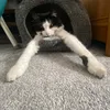 barrelboi
