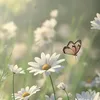 _gain___kbuor_