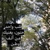 ghazi_1911