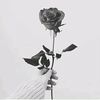 putri_elzon