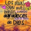 daisygalv