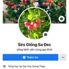 Caykiengsadec-Tử tế từ Tâm