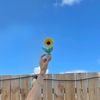 ptfleurs