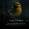 imranahmad7090