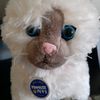 mittenskittycat568