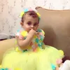 ellenabbas1