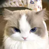 userpugy94qkgi