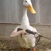 userkx3qwe05gf