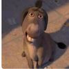 alfred_271