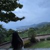 jeji_me