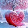 ayman41user1