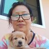 namphung5565