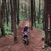 SYARIF SATYA 