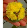 ishan_847