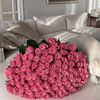 rodii_90