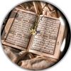 abdalmnam807