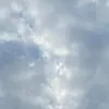 rikorinusu