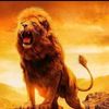 jaber_01