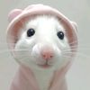 raraciaww