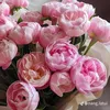 thithi6571