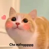 bbggghhh4