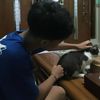 abitwavyy
