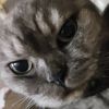 kingxwin17