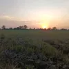 khamientay5