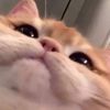 sghnaslhd