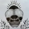 ashlxynk