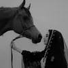 شمسِين