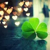 quoc_hao.37