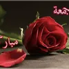 mo.ehab53