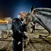 yassin_lasiri