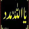 qasimali3269